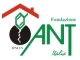 Ant Brescia