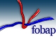 FOBAP - Fondazione Bresciana Assistenza Psicodisabili